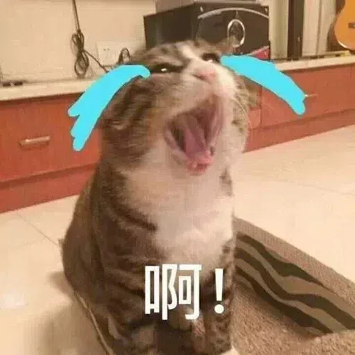 Cat meme - Sticker 5