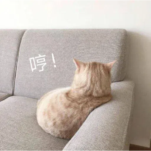 Cat meme - Sticker 7