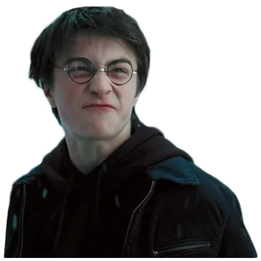 Harry potter- Sticker