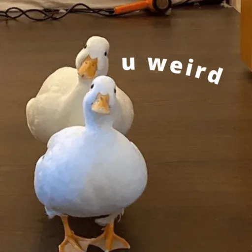 duck 2 - Sticker