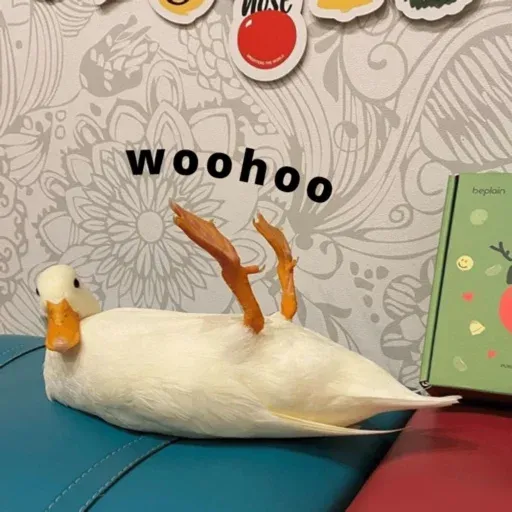 duck 2 - Sticker 8